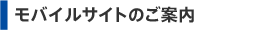 ���o�C���T�C�g�̂��ē�