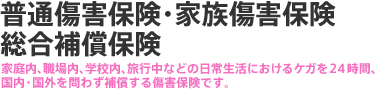 ���ʏ��Q�ی��E�Ƒ����Q�ی��@�����⏞�ی� �ƒ���A�E����A�w�Z���A���s���Ȃǂ̓��퐶���ɂ�����P�K��24���ԁA�����E���O���킸�⏞���鏝�Q�ی��ł��B