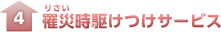 ��Ёi�肳���j���삯���T�[�r�X