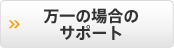����̏ꍇ�̃T�|�[�g