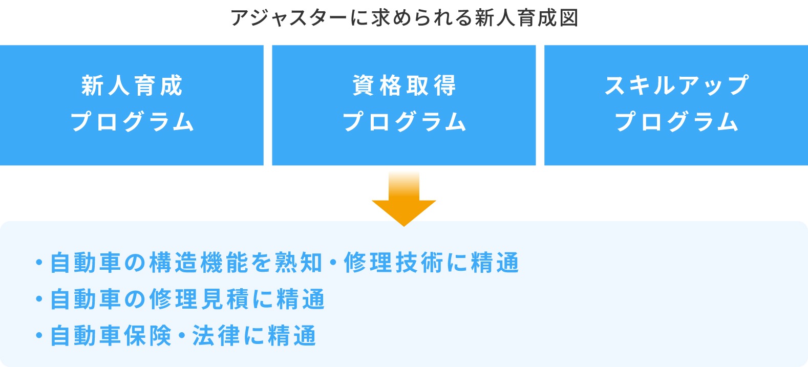 アジャスターに求められる新人育成図