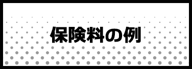 保険料の例