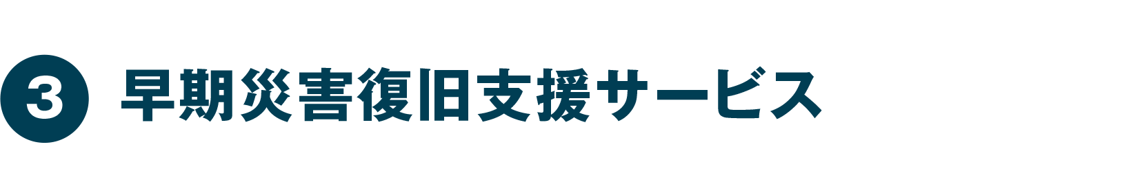 早期災害復旧支援サービス