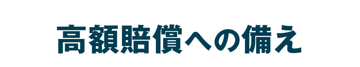 高額賠償への備え