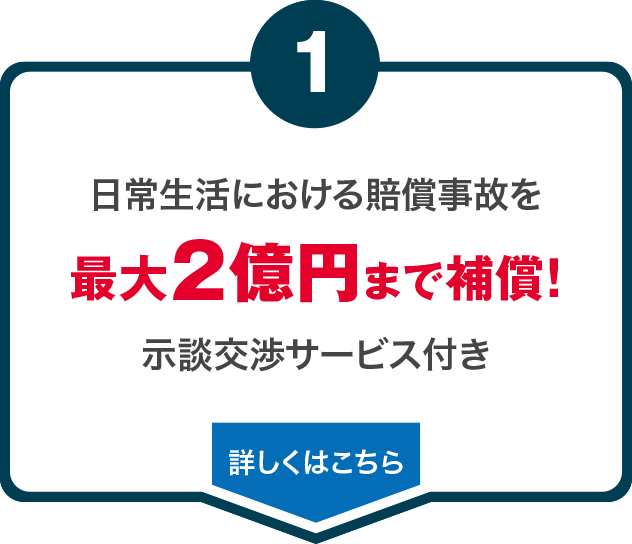 日常生活における賠償事故を最大2億円まで補償！示談交渉サービス付き